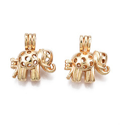 Golden Rack Plating Alloy Locket Pendants, Cadmium Free & Lead Free, Elephant, Golden, 21x20x10.5mm, Hole: 3x4.5mm