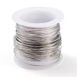 Stainless Steel Color Non-Tarnish 316 Surgical Stainless Steel Wire, for Jewelry Making, Stainless Steel Color, 22 Gauge, 0.6mm, about 59.05 Feet(18m)/roll