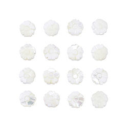 Морская Ракушка Природные стеклянные бусы нити, цветок, цвет морской раковины, 11x3 мм, отверстие : 0.7 мм