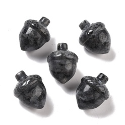 Larvikite Натуральный ларвикит для украшения дома, желуди, 25~27x20 мм