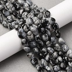 Снежный Обсидиан Природные снежинка обсидиан бисер нитей, самородки, упавший камень, 8.5~13x7.5~9.5x4~7.5 мм, отверстие : 1 мм, около 40~42 шт / нитка, 15.16''~15.55'' (38.5~39.5 см)