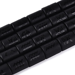 Aquarius 12 Constellations Frosted Opaque Glass Beads Strands, Column, Aquarius, 13~14x9.5~10.5mm, Hole: 0.9~1.2mm, about 27pcs/strand, 14.37~14.57 inch(36.5~37cm)