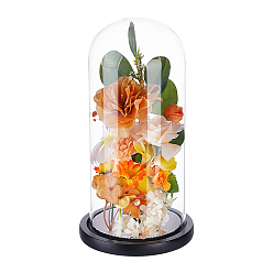 Black Clear Glass Dome Cover, Decorative Display Case, Cloche Bell Jar Terrarium with Wood Base, Black, 14.3x27.6cm