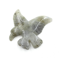 Лабрадорита Резные подвески из натурального лабрадорита, орел, 40x40x8 мм, отверстие : 1.2 мм