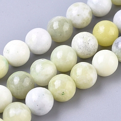 Синьцзян Нефрит Бусы из натурального нефрита синьянг, круглые, 8 мм, отверстие : 1 мм, около 47 шт / нитка, 15.16 дюйм (38.5 см)