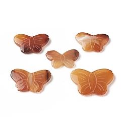 Red Agate Natural Red Agate Beads, Butterfly, Vertically Drilled, 20~28x31.5~39.5x5~5.5mm, Hole: 1.2mm
