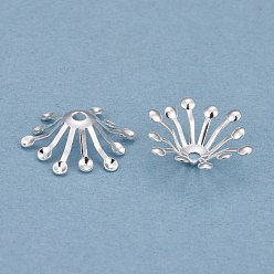Посеребрённый Шапочки и конусы для бусин, латунные, мульти-лепесток цветка, 925 серебро покрытием, 14x12.5x3.5 мм, отверстие : 1.5 мм