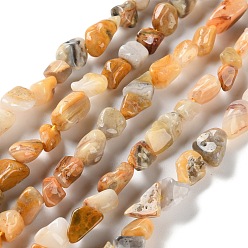 Сумасшедший Агат Природные сумасшедший агат бисер нитей, самородки, упавший камень, 4.5~11.5x3~7x3.5~6 мм, отверстие : 1~1.2 мм, около 48~68 шт / нитка, 15.35~15.94'' (39~40.5 см)