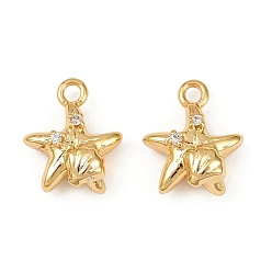 Морская звезда Подвески из латуни с микропаве из кубических цирконий на тему океана, долговечный, без никеля , реальный 18 k позолоченный, морская звезда, 10x8.5x4 мм, отверстие : 1.2 мм