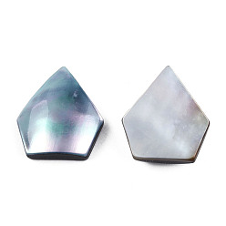 Bleu Ciel Cabochons turbo cornulus/top shells naturels, avec acrylique et coque à lèvres noire, forme de diamant, bleu ciel, 18.5x16.5x4.5~5.5mm