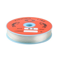 Clear Transparent Fishing Thread Nylon Wire, Clear, 0.3mm, about 109.36 yards(100m)/roll