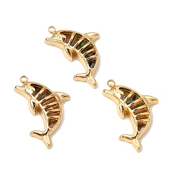 Golden Marine Organism Theme Natural Shell Pendants, Dolphin Charms, with 304 Stainless Steel
 Findings, Golden, 23x14.5x4mm, Hole: 1.5mm