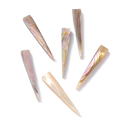 Paua Shell Natural Abalone Shell/Paua Shell Bead, Triangle, 25x4x2.5mm