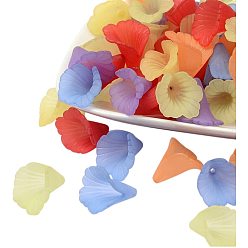 Mixed Color Transparent Acrylic Beads, Frosted, Flower, Dyed, Mixed Color, 20x20x2mm, Hole: 1.5mm