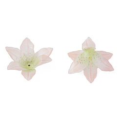 Vert Clair Des perles en plastique, fleur, vert clair, 33x33x12.5mm, Trou: 1.2mm