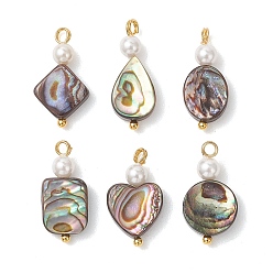 Золотой Подвески из натуральной раковины пауа и круглой белой раковинной жемчужины, Подвески в виде ромбов, сердец и прямоугольников с латунными петлями., разнообразные, золотые, 18~20.5x8~10x3~3.5 мм, отверстие : 2 мм