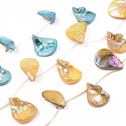 Mixed Color Electroplate Natural Freshwater Shell Beads Strands, Top Drilled Beads, Dyed, Teardrop, Mixed Color, 25~28x20~22x8~10.5mm, Hole: 0.8mm, about 13~15pcs/strand, 15.75 inch~16.14 inch(40cm~41cm)