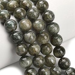 Кианит Бусы из натурального зеленого кианита, круглые, класс А, 10 мм, отверстие : 1.2 мм, около 41 шт / нитка, 15.94'' (40.5 см)