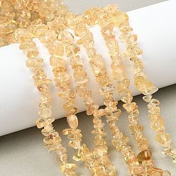 Желтый Кварц Нагретые нити из натуральных желтых кварцевых бусин, чип, 5~13.5x5~13.5x1.5~6 мм, отверстие : 1 мм, 31.10''~31.50'' (79~80 см)