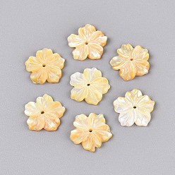 Желтые Ракушки Резные бусины из натуральной желтой ракушки, цветок, 14~14.5x14~15x1.5~3 мм, отверстие : 1~1.2 мм