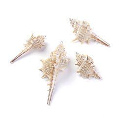 Платина Спиральные подвески оболочки, Сплав с поиска, платина, 43~79x24~36 мм, отверстие : 1.8 мм