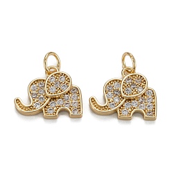 Настоящее золото 18K Латунные прозрачные кубические циркониевые подвески, с целью перехода в кольце, долговечный, без свинца и без кадмия, слон, реальный 18 k позолоченный, 12.5x15x2.5 мм, Перейти кольцо: 5x0.8 мм, 3.5 мм внутренним диаметром