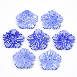 Bleu Royal Perles de coquillages naturels d'eau douce, sculpté, teint, fleur, bleu royal, 28x28x3mm, Trou: 1.6mm