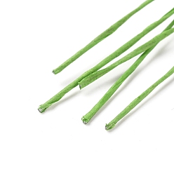 Lime Green Paper Twist Ties, with Iron Core, Multifunctional Twist Plant Ties, for Plants Garden Office and Home, Lime Green, 360x0.6mm