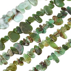 Chrysoprase Natural Chrysoprase Beads Strands, Nuggets, Top Drilled, 12~35x6~23x2~5mm, Hole: 0.8~1mm, 15.75~16.14''(40~41cm)