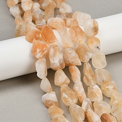 Цитрин Матовые необработанные грубые нагретые натуральные цитриновые бусины, самородки, 13.5~26.5x9~22.5x7~14.5 мм, отверстие : 0.8 мм, около 19~22 шт / нитка, 15.43~16.14'' (39.2~41 см)