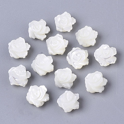 Морская Ракушка Натуральная оболочка, двухсторонний, цветок, цвет морской раковины, 8x5 мм, отверстие : 0.8 мм