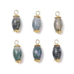 Мосс Агат 6 шт. подвесок из натурального мха и агата (окрашенного и подвергнутого термической обработке), рисовые прелести, с результатами сплава и 304 нержавеющей стали, золотые, 19.5x8 мм, отверстие : 2~2.5 мм