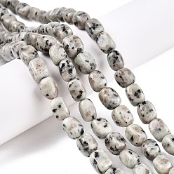 Джаспер Кунжут Натуральный кунжут яшма / киви нитки бусины яшмы, кубоид, 8.5~12x8x7.5~8.5 мм, отверстие : 1.2 мм, около 33 шт / нитка, 15.35'' (39 см)