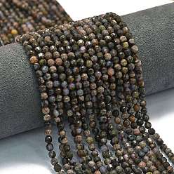 Glaucophane Бусы из натурального глаукофана, энергетическая призматическая огранка с двойными концами бусины, граненые двухконусные, 4x4.5 мм, отверстие : 0.4 мм, около 83 шт / нитка, 14.96'' (38 см)