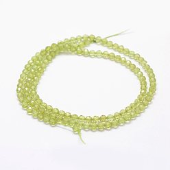 Peridot Natural Peridot Beads Strands, Faceted, Round, 3mm, Hole: 0.5~0.6mm, about 144~151pcs/strand, 15.3~15.7 inch(39~40cm)