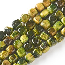 Olive Natürlichen Tigerauge Perlen Stränge, gefärbt, Würfel, Olive, 7~8x7~8x7~8 mm, Bohrung: 0.8 mm, ca. 52 Stk. / Strang, 15.16 Zoll (38.5 cm)