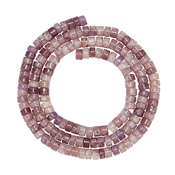 Лепидолит Натуральный лепидолит / пурпурный слюдяный камень бисер пряди, Heishi бусы, Плоский круглый / диск, 4x2 мм, отверстие : 0.7 мм, около 151~154 шт / нитка, 15.35 дюйм ~ 15.55 дюйм (39 см), 1 прядь