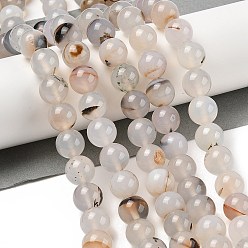 Дендритный Агат Нити из натурального дендритного агата, круглые, 12 мм, отверстие : 0.8 мм, около 33 шт / нитка, 15.75'' (40 см)