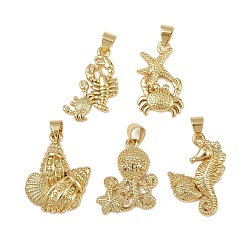 Mixed Shapes Латунные подвески, долговечный, без кадмия и без свинца, стойки покрытие, реальный 18 k позолоченный, разнообразные, 20.5~23.5x14.5~16.5x2.5~4.5 мм, отверстие : 4.5x3.5 мм