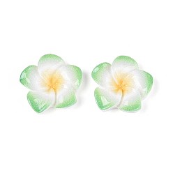 Зеленый лайм Кабошоны из непрозрачной смолы в виде цветка плюмерии, зеленый лайм, 20~21x20~21x4.5~5 мм