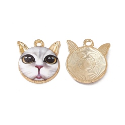 Разноцветный Стойки обшивки сплава эмали подвески, золотой свет, очарование кошачьей головы, красочный, 20x18x2.5 мм, отверстие : 2 мм