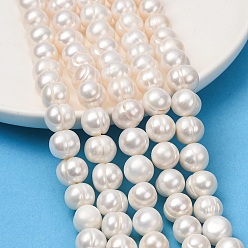 Old Lace Natural Cultured Freshwater Pearl Beads Strands, Potato, Old Lace, 11~12mm, Hole: 0.6mm, about 35pcs/strand, 13.78''(35cm)