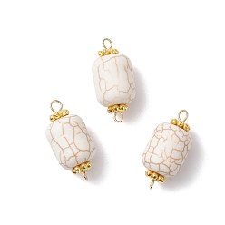 Золотой Подвески-соединители из синтетической бирюзы, с 304 двойными петлями из нержавеющей стали, белые, золотые, 24x11 мм, отверстие : 1.8~2 мм