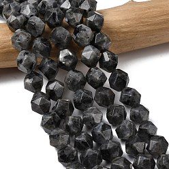 Larvikite Натуральные нити бус из ларвикита, звезды вырезать круглые бусы, граненые, 9~10x9~10x9~10 мм, отверстие : 1~1.4 мм, около 38~40 шт / нитка, 14.88'' (15.08'' см)