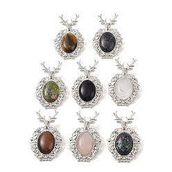 Смешанные камни Природные смешанные подвески драгоценных камней, с фурнитурой сплавочной платины тон, олени прелести, смешанные окрашенные и неокрашенные, 56x33x4 мм, отверстие : 5x8 мм