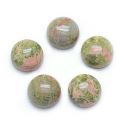 Unakite Natural Unakite Cabochons, Half Round, 10x4~5mm