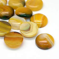 (932FM) Темно-синий аква-матовый с подкладкой Окрашенные природные полосатые агатовые / полосатые агатовые кабошоны, полукруглые / купольные, темно-золотистые, 20x5~8 мм