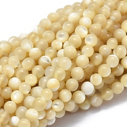 Yellow Shell Shell Beads Strands, Round, 2mm, Hole: 0.5mm, about 195pcs/strand, 15.35 inch(39cm)