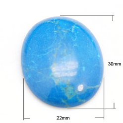 Говлит Кабошоны из камня, овальные, природные Говлит, 30x22x5~7 мм