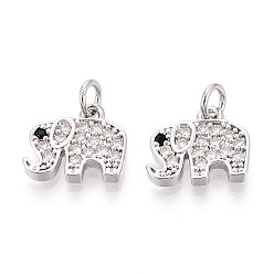 Платина Латунные микро проложить кубического циркония прелести, слон, с целью перехода в кольце, без кадмия и без свинца, платина, 11x12.5x2 мм, отверстие : 3 мм